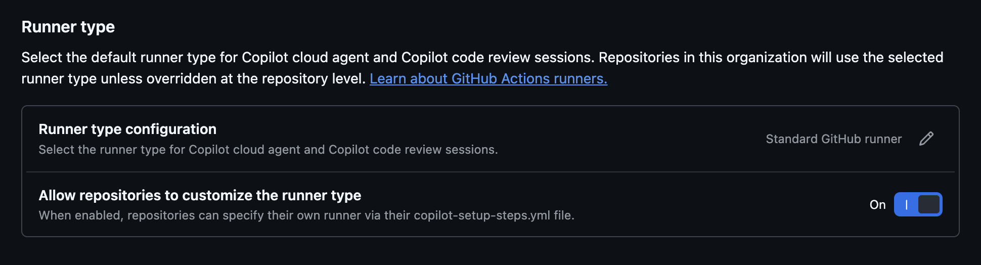 Copilot code review settings image showing runner configuration options